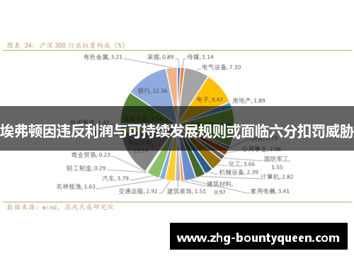 埃弗顿因违反利润与可持续发展规则或面临六分扣罚威胁